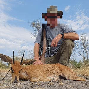 Steenbok Hunt Namibia