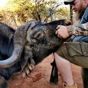 Ancient Buff Hunt with Bayly Sippel Safaris