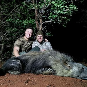 South Africa Hunt Brown Hyena