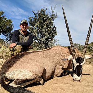 Hunt Gemsbok in South Africa