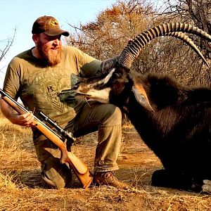 Sable Antelope Hunt South Africa