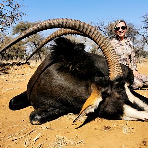 Sable Hunting South Africa