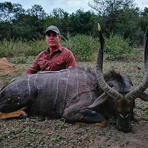 Nyala Hunt South Africa