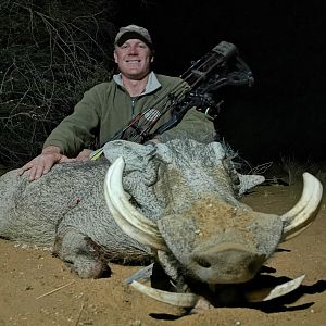 Bow Hunt Warthog in Namibia