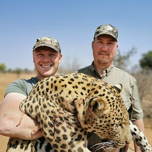 Hunt Leopard in Namibia