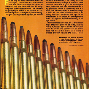 .340 Weatherby Article