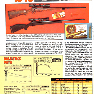 .340 Weatherby Article