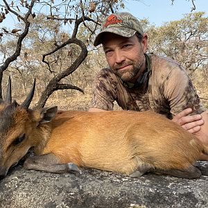 Cameroon Hunt Red Flanked Duiker