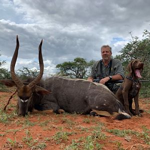 Nyala Hunt South Africa