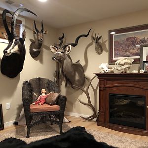 Trophy Room