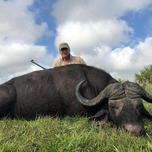 Mozambique Hunt Cape Buffalo