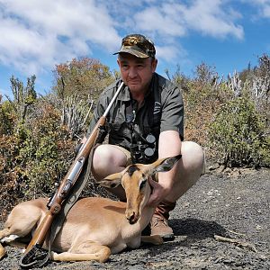 Management Hunting Impala in South Africa