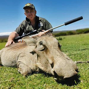 Warthog Management Hunt South Africa