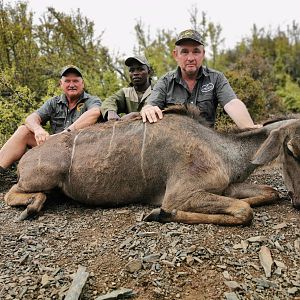 South Africa Management Hunting Kudu