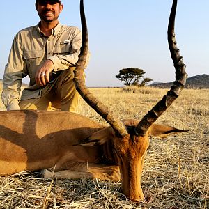 Impala Hunting South Africa