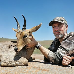 Mountain Reedbuck Hunting South Africa