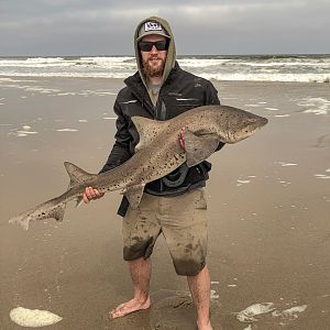 Spotted Gully Shark Fishing Namibia