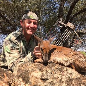South Africa Bow Hunting Suni