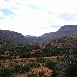 Hunting Klipspringer & Vaal Rhebok in South Africa