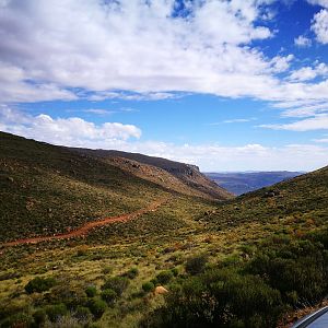 Vaal Rhebok & Klipspringer Hunt South Africa