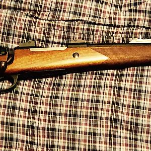 Whitworth Safari Rifle