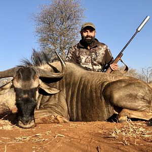 Blue Wildebeest Hunting South Africa