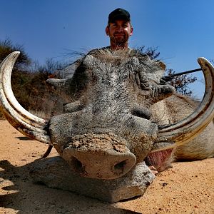 Warthog Hunt South Africa