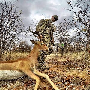 South Africa Bow Hunting Impala