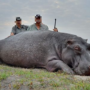 Hunt Non-exportable Hippo