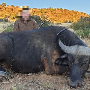 Hunting Non-exportable Buffalo