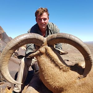 South Africa Hunt Barbary Sheep