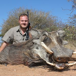 South Africa Hunt Warthog