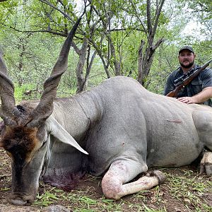 Trophy Eland Bull