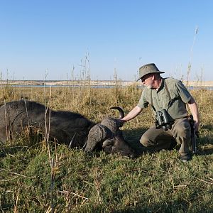 Cape Buffalo Hunting