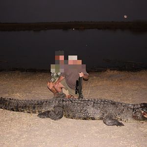 Hunting Crocodile