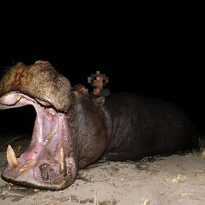 Hunting Hippo