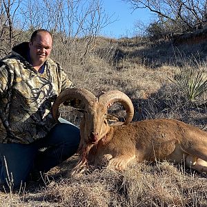 Texas USA Hunting Aoudad