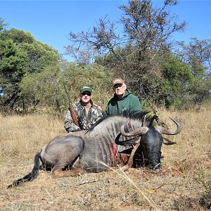 South Africa Hunt Blue Wildebeest