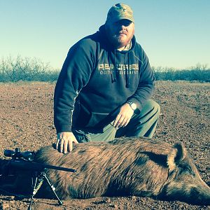 Hog Hunt Texas USA