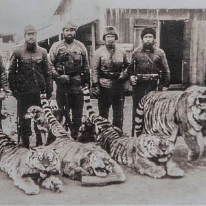 Siberian Tiger Hunt