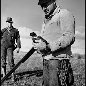 Hemingway and his love of Idaho pheasants