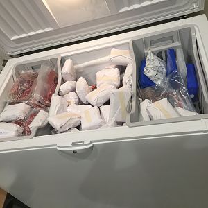 Processed Meat packed in Freezer