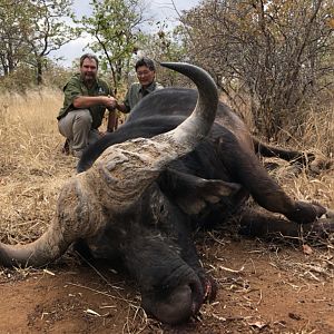 Cape Buffalo Hunt Zimbabwe