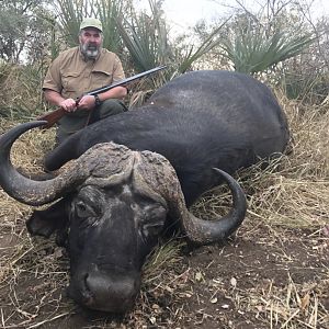 Buffalo Hunting Zimbabwe