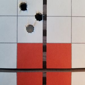 Range Shooting 70.5gr H4831 A-Frame