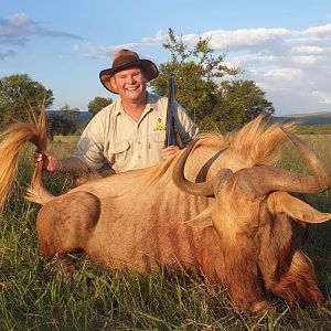 Hunt Golden Wildebeest in South Africa