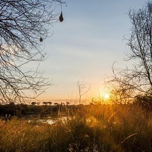 Hunting Area South Africa