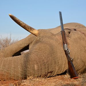 Hunt Elephant in South Africa