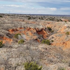 Hunting Area Texas USA