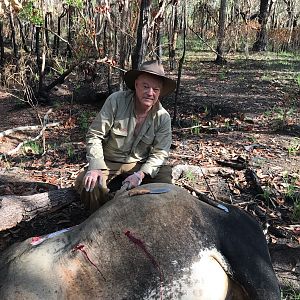 Northern Territory Australia Hunting Scrub Bull